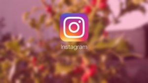 Effective tips to help you with Instagram Automation